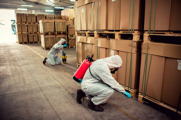 Best Ant Control Services  in Grand Point, LA