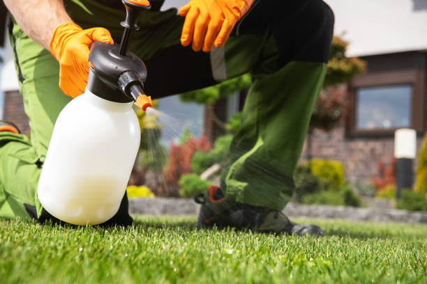 Reliable Grand Point, LA Pest Control Solutions