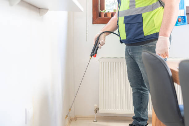 Best Flea Control Services  in Grand Point, LA