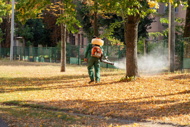 Best Mosquito Control Services  in Grand Point, LA