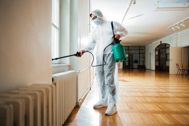 Best Termite Control Services  in Grand Point, LA