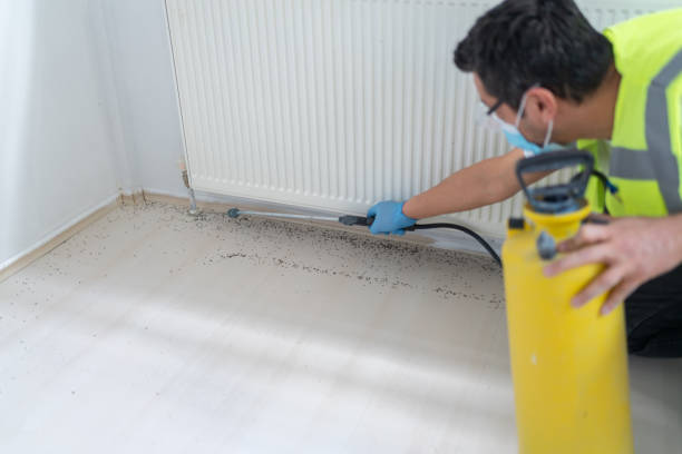 Best Emergency Pest Control  in Grand Point, LA